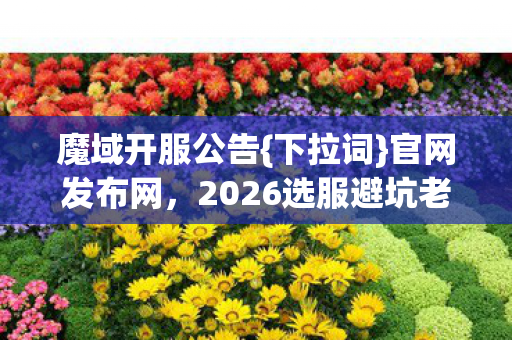 2026选服避坑老玩家总结图片