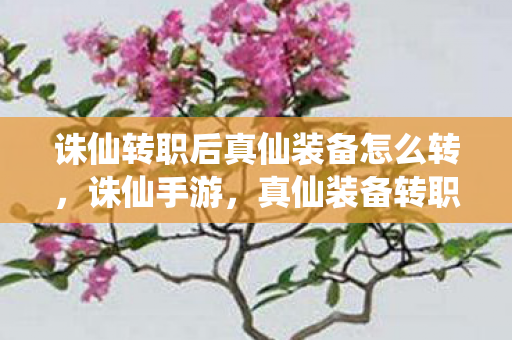 诛仙转职后真仙装备怎么转，诛仙手游，真仙装备转职后如何转换？
