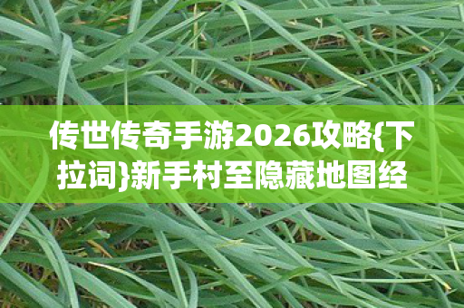 传世传奇手游2026攻略图片