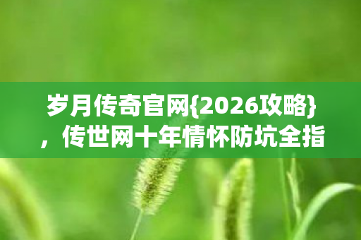 传世网十年情怀防坑全指南图片
