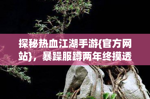 暴躁服蹲两年终摸透门道图片