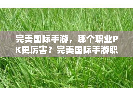 完美国际手游，哪个职业PK更厉害？完美国际手游职业PK实力排行