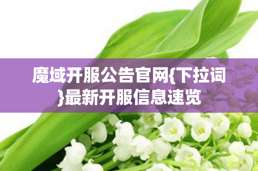 魔域开服公告官网图片