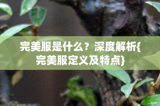 完美服定义及特点图片