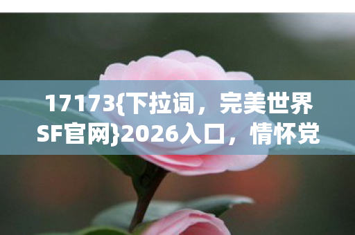 情怀党实测认证服选法图片