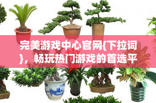 畅玩热门游戏的首选平台图片