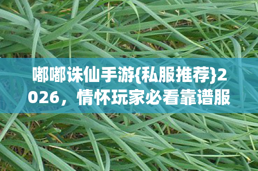 情怀玩家必看靠谱服选择指南图片