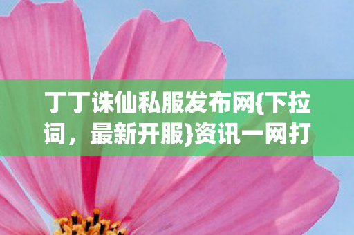 丁丁诛仙私服发布网图片