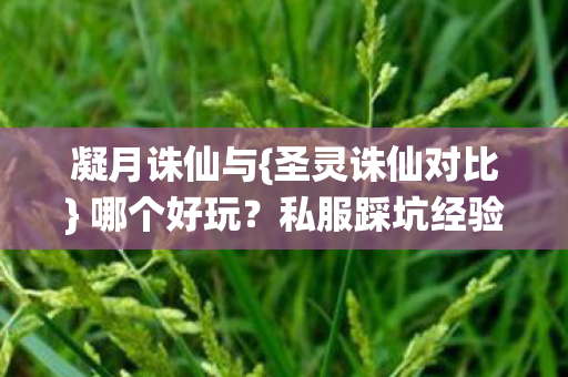 私服踩坑经验分享图片