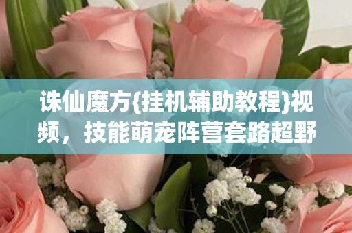 诛仙魔方{挂机辅助教程}视频，技能萌宠阵营套路超野