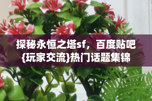 探秘永恒之塔sf，百度贴吧{玩家交流}热门话题集锦