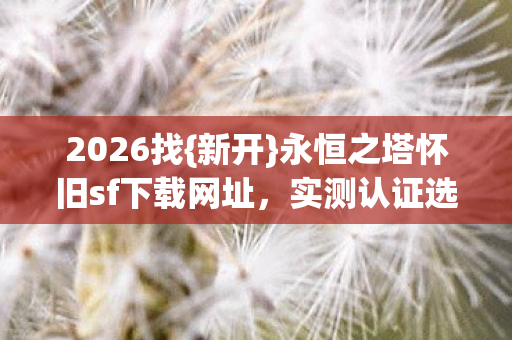 永恒之塔怀旧sf下载网址图片
