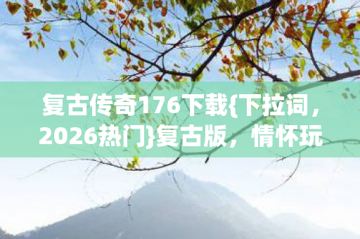 情怀玩家实测选服指南图片