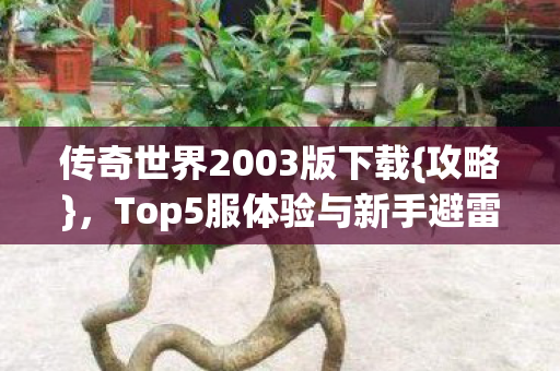 Top5服体验与新手避雷指南图片