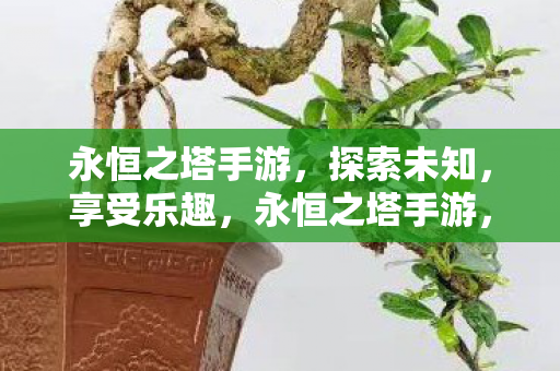 永恒之塔手游，探索未知，享受乐趣，永恒之塔手游，探索未知，畅享乐趣