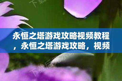 永恒之塔游戏攻略视频教程，永恒之塔游戏攻略，视频教程全解析