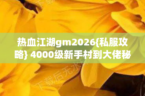 4000级新手村到大佬秘籍图片