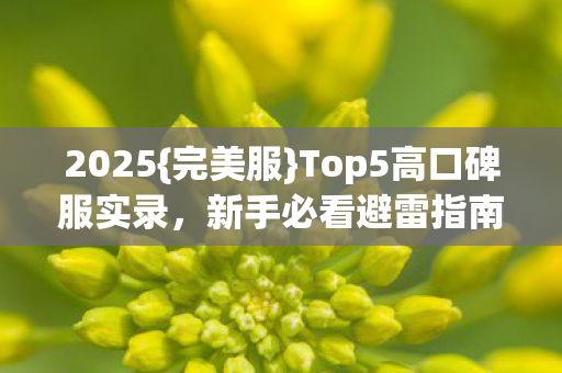 Top5高口碑服实录图片
