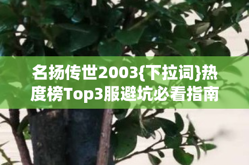 热度榜Top3服避坑必看指南图片