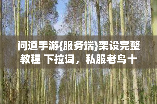 架设完整教程 下拉词图片