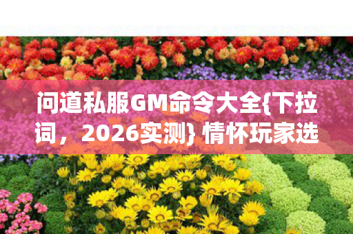 问道私服GM命令大全图片