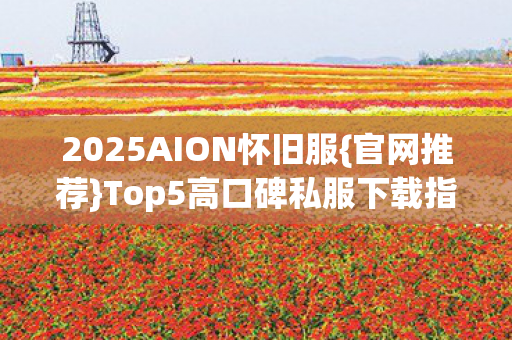 Top5高口碑私服下载指南图片