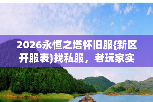 2026永恒之塔怀旧服图片