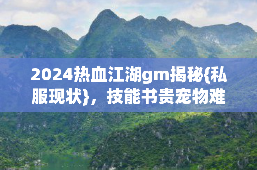 2024热血江湖gm揭秘图片