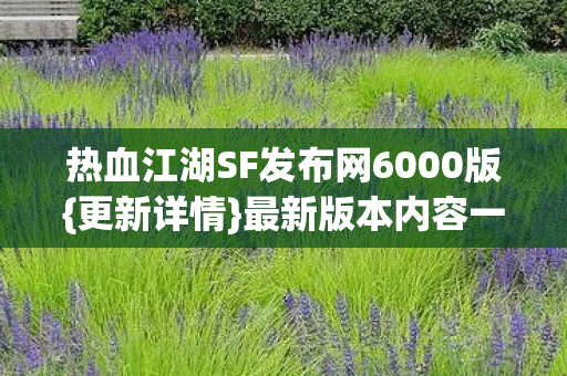 热血江湖SF发布网6000版图片