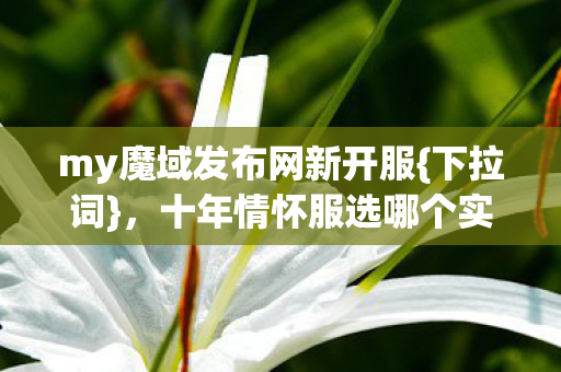十年情怀服选哪个实测好图片