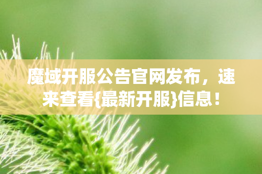 魔域开服公告官网发布图片