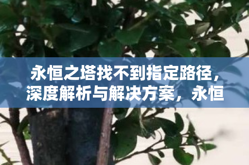 永恒之塔找不到指定路径，深度解析与解决方案，永恒之塔找不到指定路径，深度解析与解决方案