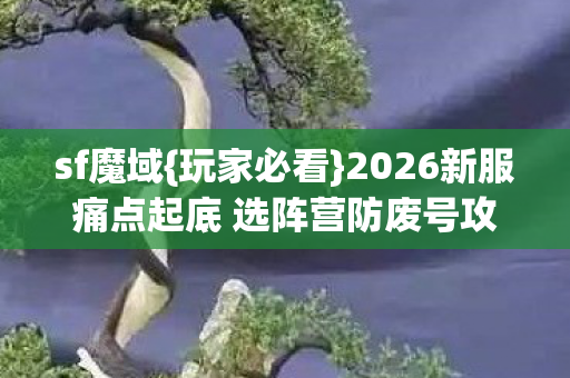 2026新服痛点起底 选阵营防废号攻略图片
