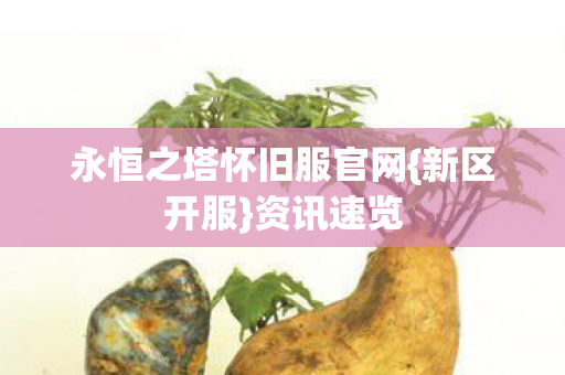 永恒之塔怀旧服官网图片