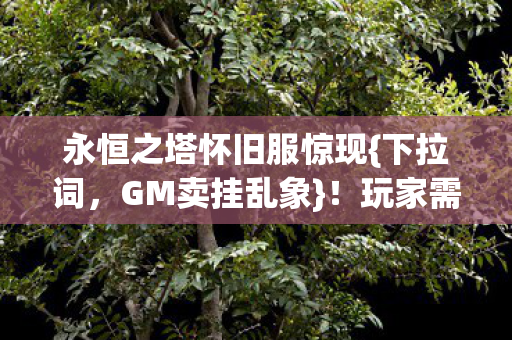 永恒之塔怀旧服惊现图片