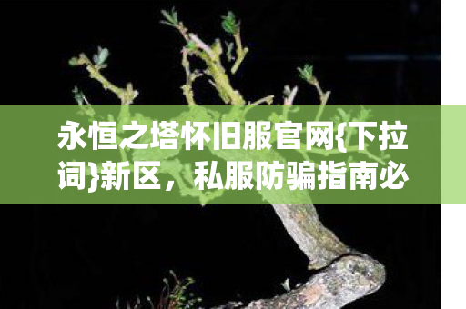 永恒之塔怀旧服官网图片