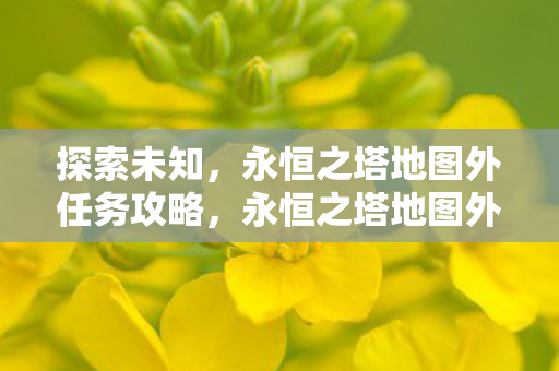 探索未知，永恒之塔地图外任务攻略，永恒之塔地图外任务攻略，探索未知之旅