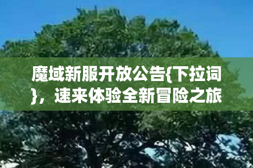 速来体验全新冒险之旅图片