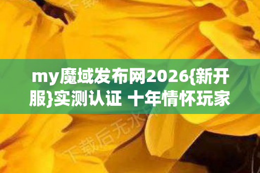 实测认证 十年情怀玩家避坑指南图片