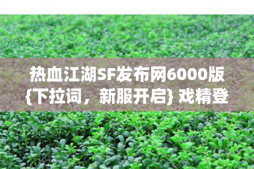热血江湖SF发布网6000版图片