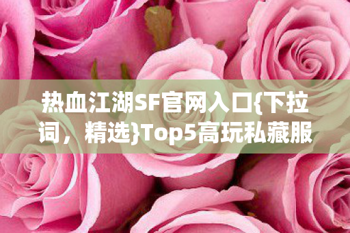 Top5高玩私藏服畅玩体验图片
