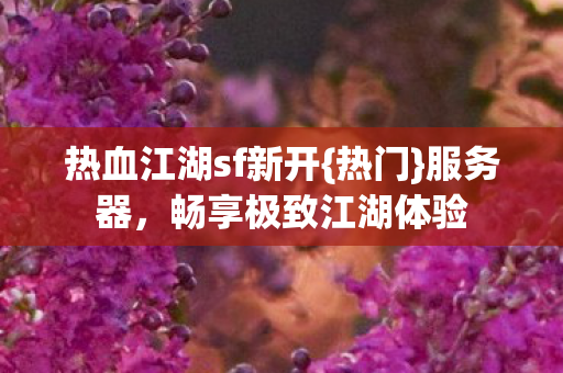 热血江湖sf新开图片