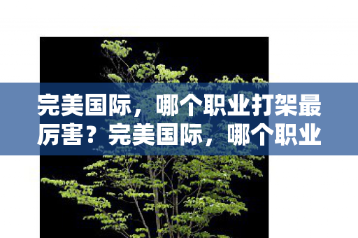 完美国际,哪个职业打架最厉害?完美国际,哪个职业打架最厉害? 完美国际,哪个职业打架最厉害?完美国际,哪个职业打架最厉害?