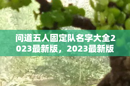 问道五人固定队名字大全2023最新版，2023最新版问道五人固定队名字大全