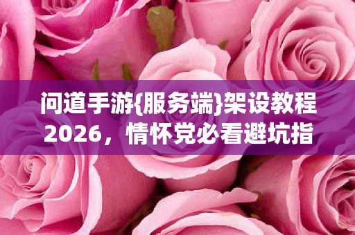 情怀党必看避坑指南图片