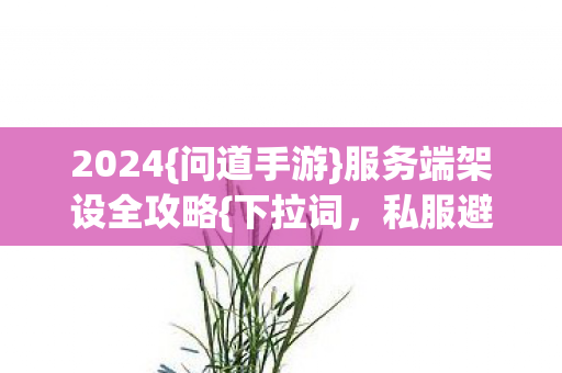 服务端架设全攻略图片
