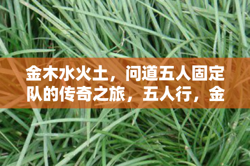 金木水火土，问道五人固定队的传奇之旅，五人行，金木水火土问道传奇之旅