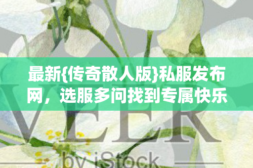 最新{传奇散人版}私服发布网，选服多问找到专属快乐
