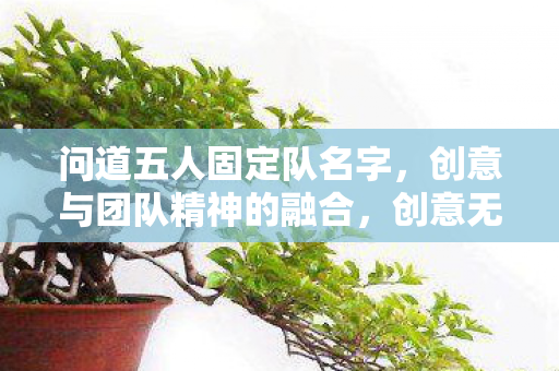 问道五人固定队名字,创意与团队精神的融合,创意无限,团队一心,打造五人固定队名字 问道五人固定队名字,创意与团队精神的融合,创意无限,团队一心,打造五人固定队名字