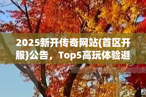 2025新开传奇网站图片